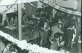 /album/fotogalerij-bingo/matagora012-bingo002-jpg/
