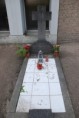 /album/fotogalerij/dsc-9294-jpg/